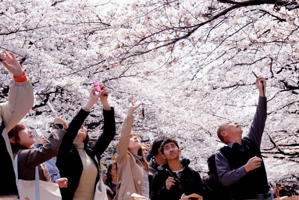 11 Hal Yang Bisa Anda Lakukan Di Ueno Tokyo Jepang 