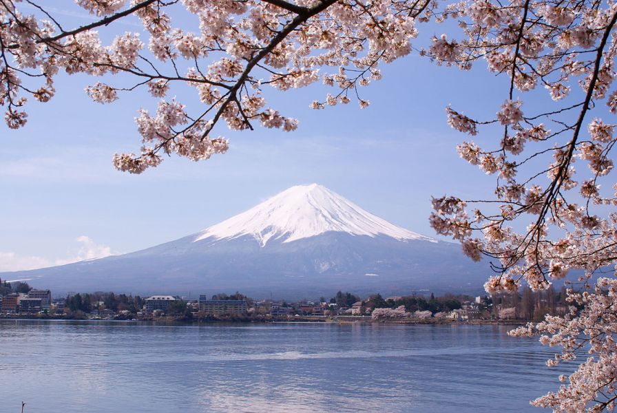 Paket Wisata Tour Ke Jepang Sakura 2018 Sakura Mekar 29 Maret - 3 April 2018 Open Trip