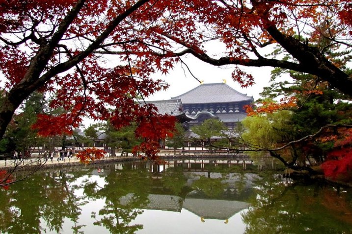 Paket Wisata Tour Ke Jepang Osaka Kyoto Tokyo 7 Hari 6 Malam - Todaiji Temple