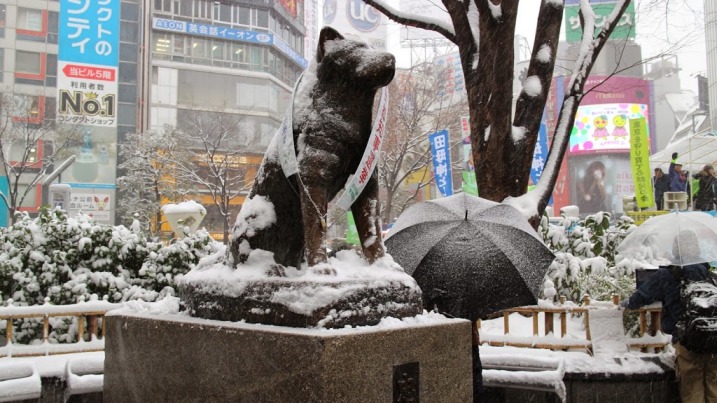 Paket Tour Wisata Ke Jepang Tokyo Fuji Hakone Winter Snow In Hachiko