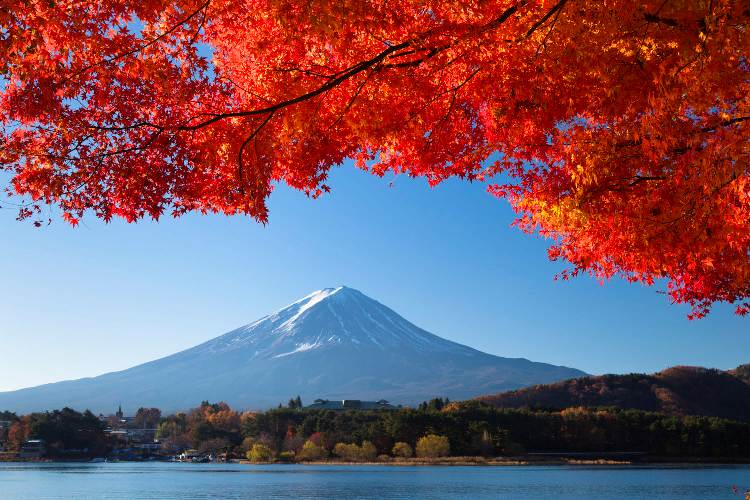Paket Tour Ke Jepang 2018 Tokyo Fuji Open Trip Wisata Ke Jepang Autumn 19 - 24 November 2018