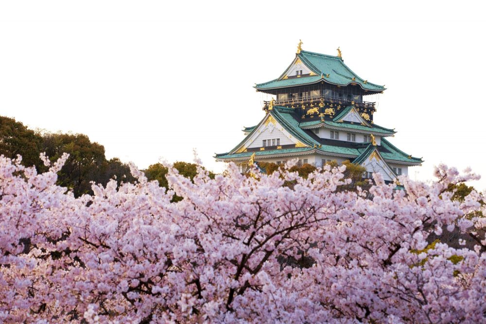 Paket Tour Wisata Ke Jepang Golden Route Tokyo Fuji Osaka - Sakura In Osaka Castle