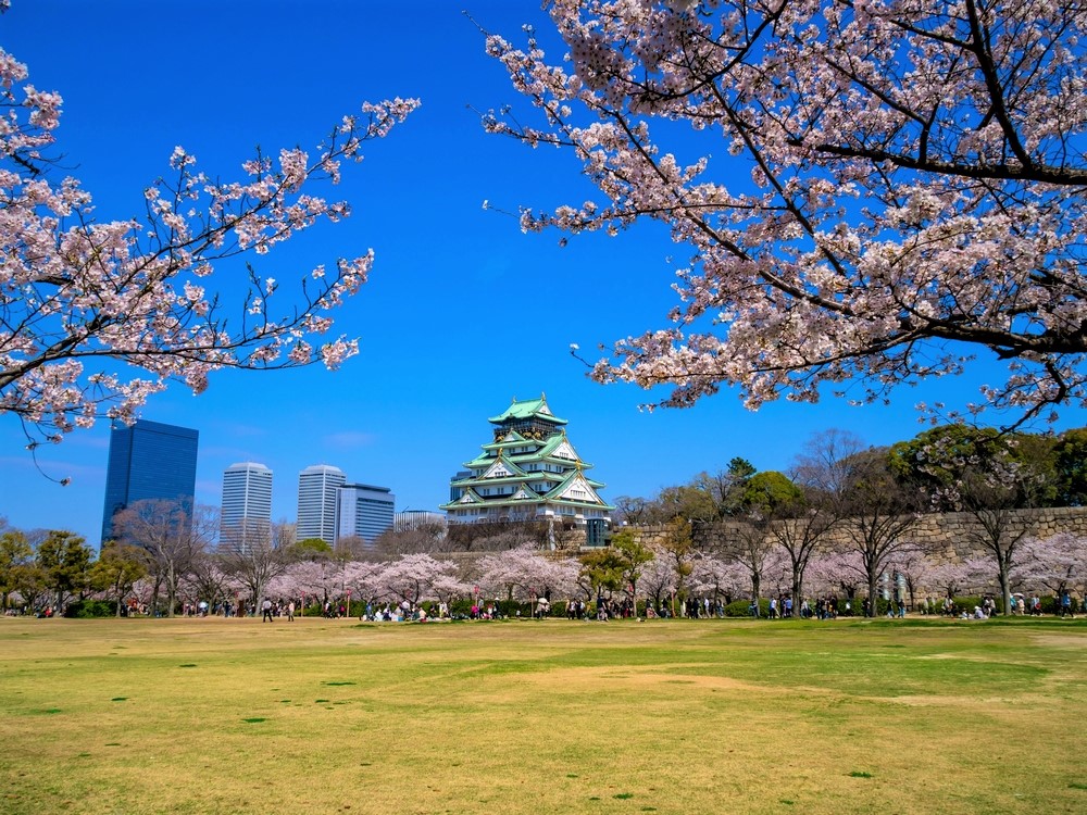 Osaka Castle Sakura Rekomendasi 10 Tempat Wisata di Osaka Jepang Yang Sebaiknya Anda Kunjungi Ketika Tour Ke Jepang