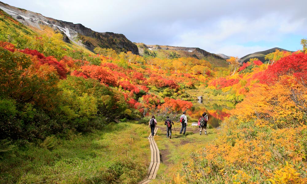 Taman Nasional Hokaido Rekomendasi 8 Tempat Wisata Paling Romantis Di Jepang Saat Musim Gugur Autumn