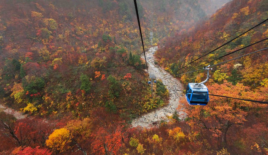 Tateyama Kurobe Alpen Route Rekomendasi 8 Tempat Wisata Paling Romantis Di Jepang Saat Musim Gugur Autumn