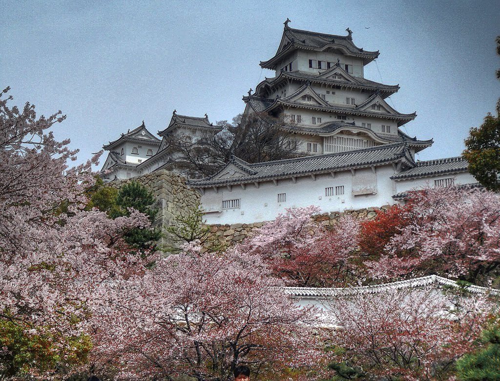 13 Tempat Terbaik Untuk Melihat Bunga Sakura Di Jepang Kokyo Higashi Gyoen