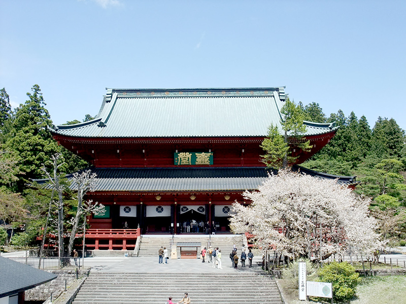 13 Tempat Terbaik Untuk Melihat Bunga Sakura Di Jepang Rinnoji Temple