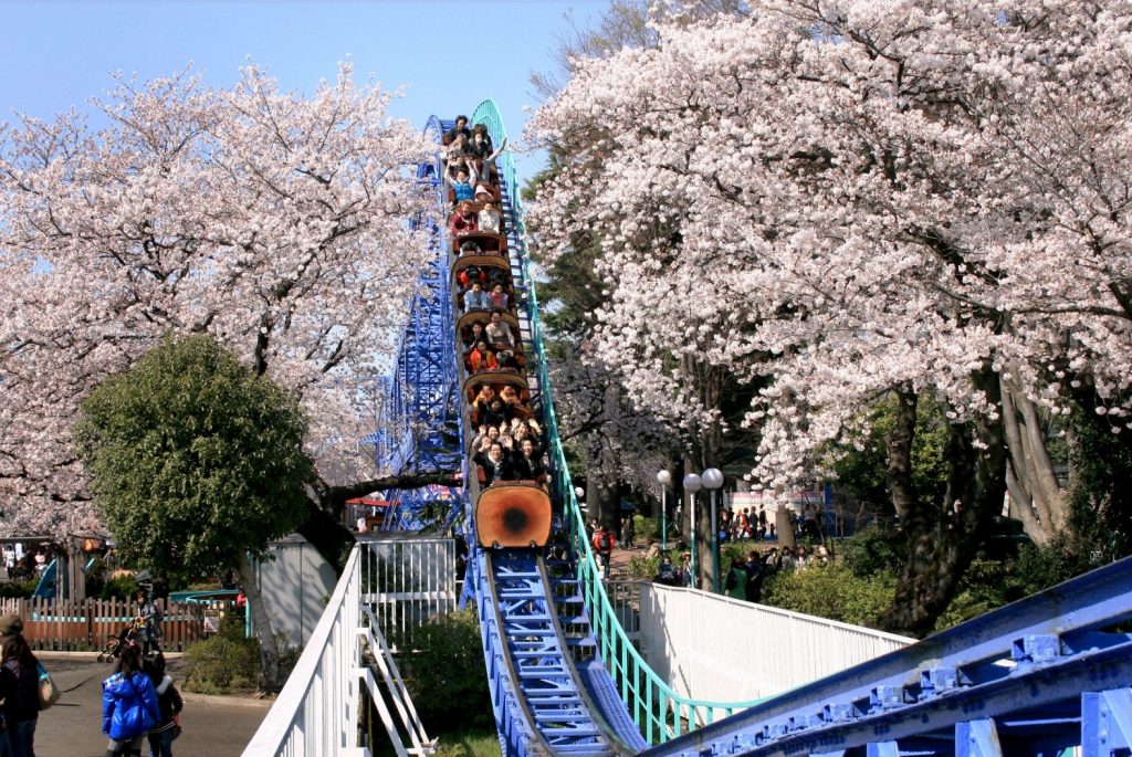 Toshimaen Park 13 Tempat Terbaik Untuk Melihat Bunga Sakura Di Jepang