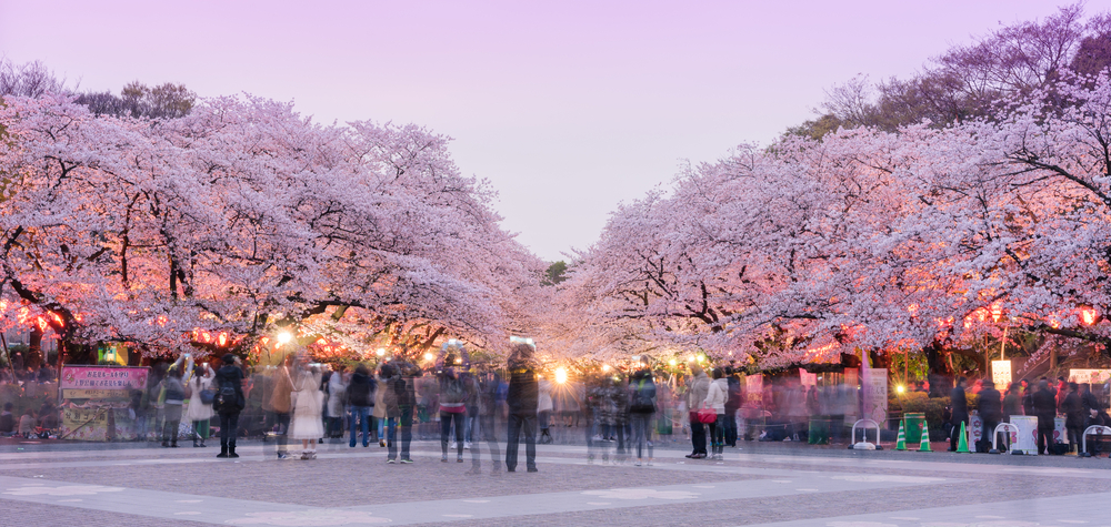 6 Ueno Park Rekomendasi 30 Tempat Wisata Jepang Terbaik Untuk Anda
