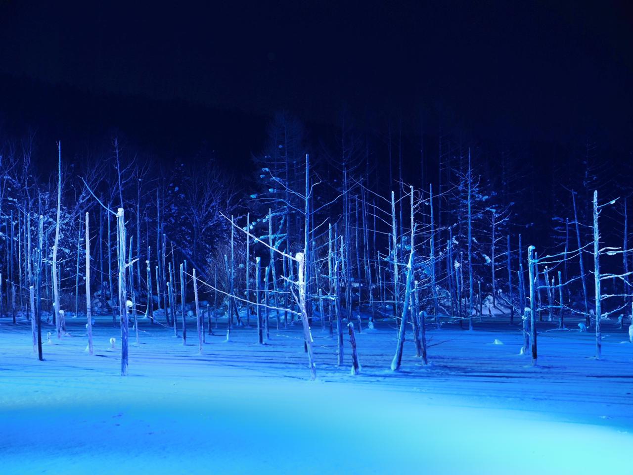 Hokkaido Winter Photography