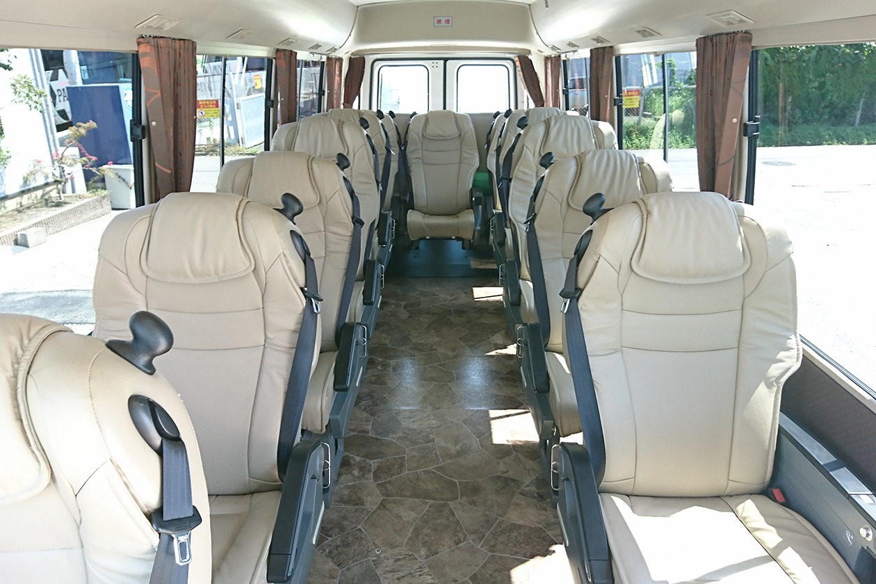 Luxury Coaster Microbus