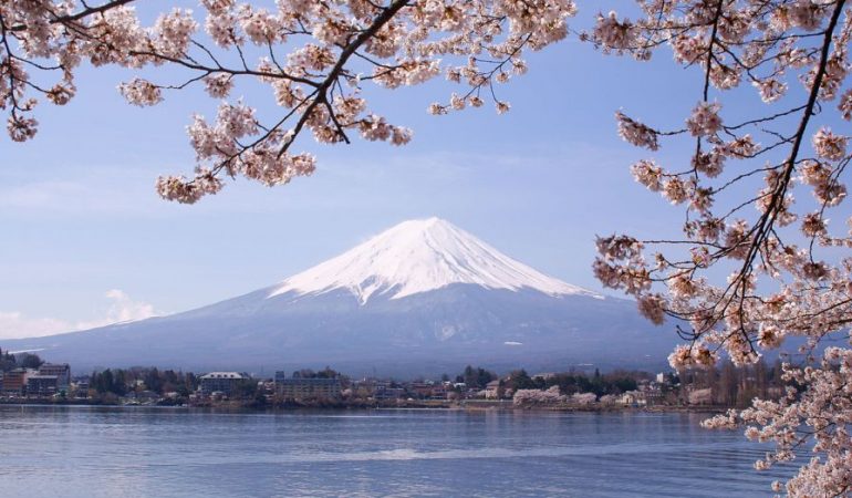 Tour Jepang Sakura Maret April 2020