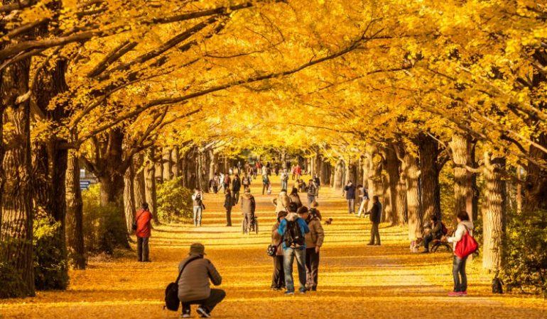 Tempat Wisata Terbaik Di Jepang Saat Bulan Oktober
